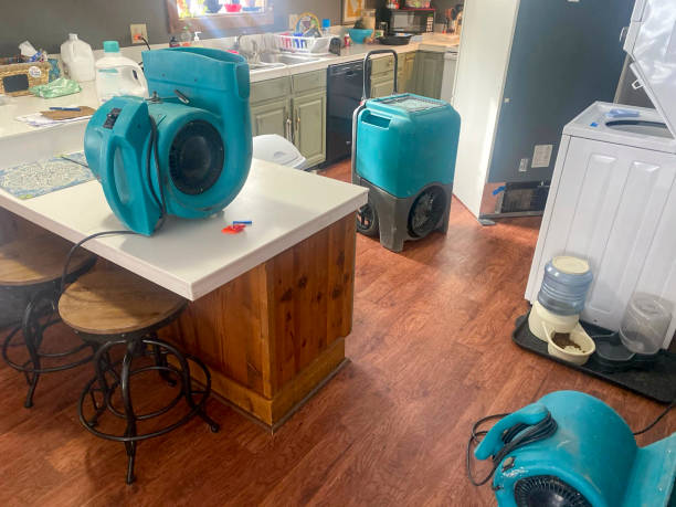 Trusted AR Water damage restoration Experts