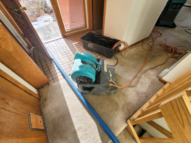 Best Water damage restoration near me  in Wooster, AR