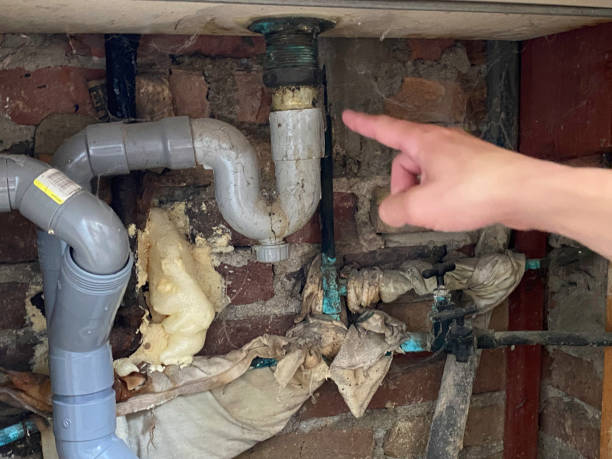 Best Professional water damage repair  in Wooster, AR
