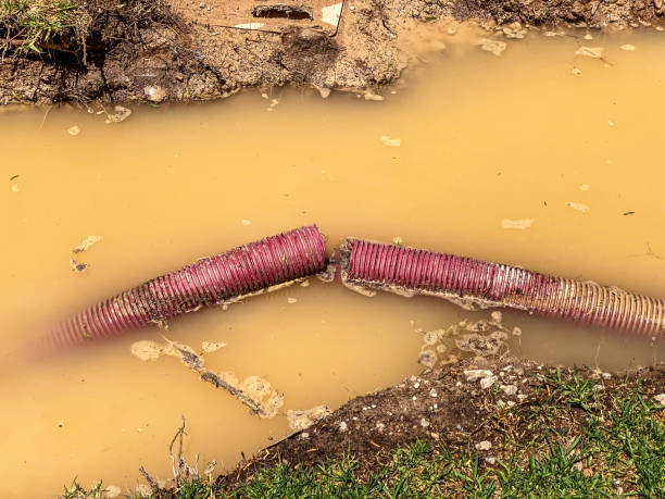 Best Flood restoration services  in Wooster, AR